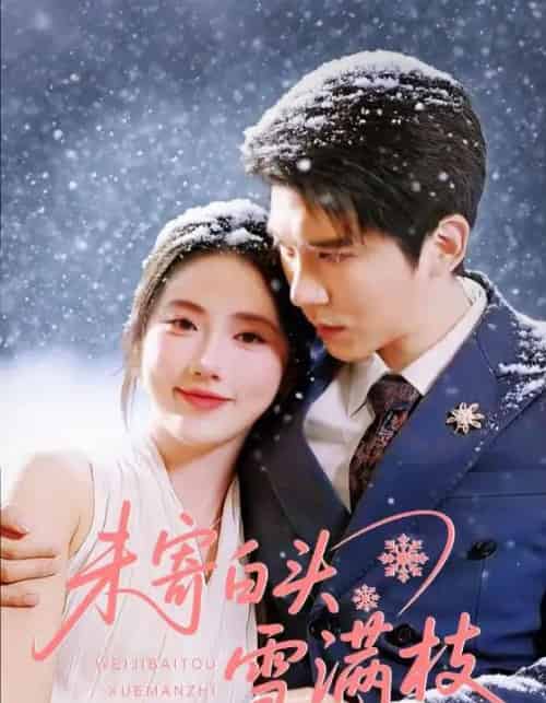 未寄白头雪满枝（61集全）金鑫欣＆冯思源-海之城短剧项目