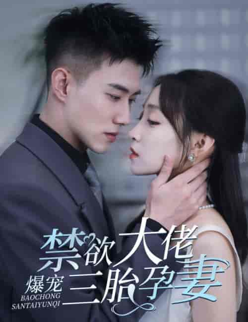 禁欲大佬爆宠三胎孕妻（60集全）黄文博 - 海之城短剧