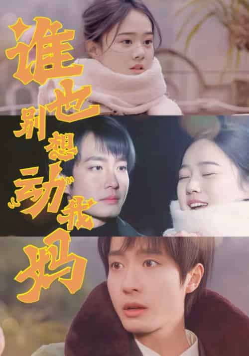 谁也别想动我妈（44集全）冯晓宁 - 海之城短剧