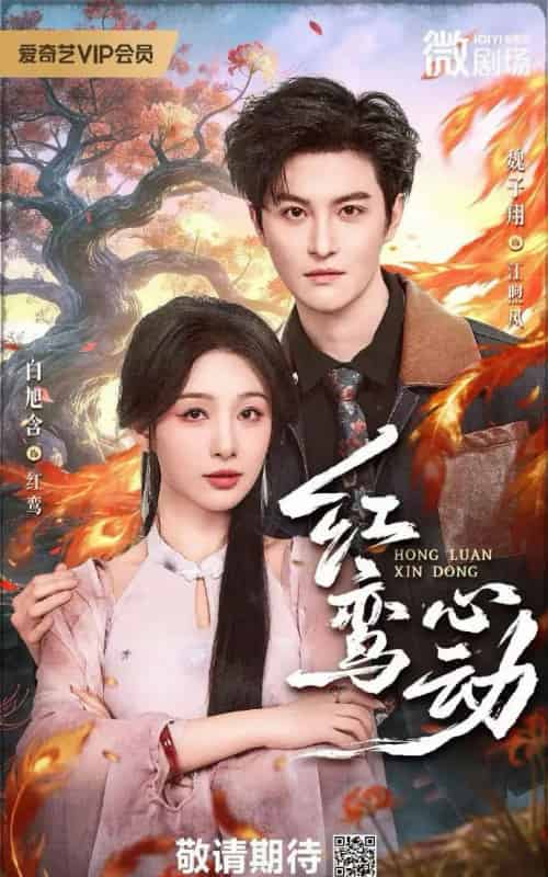 红鸾心动（60集全）白旭含 ＆W魏子翔-海之城短剧项目