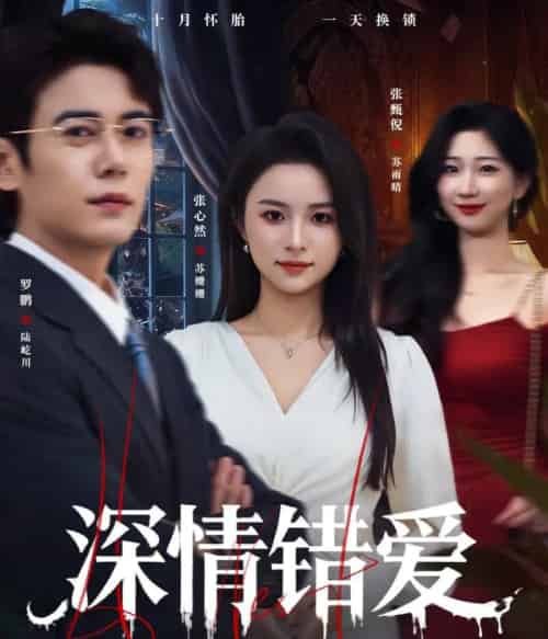 深情错爱＆鸠占鹊巢（45集全）罗鹏＆张心然-海之城短剧项目