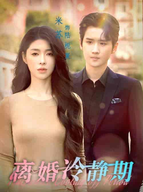 离婚冷静期 离婚冷静期