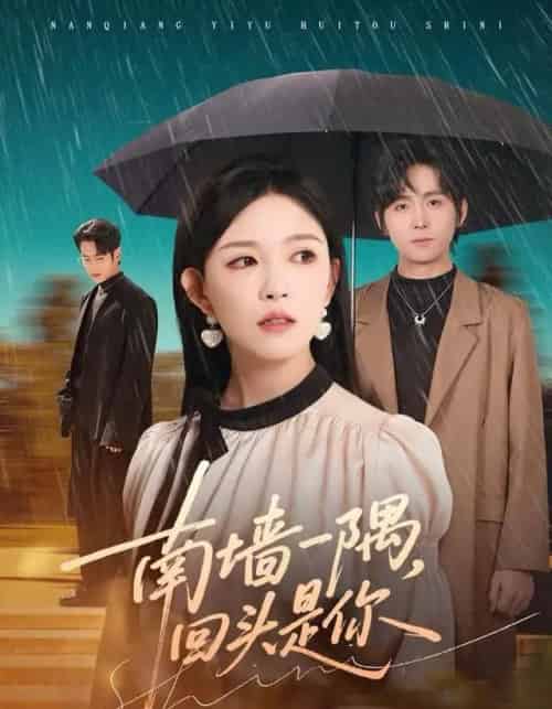 南墙一隅，回头是你（61集全）徐晨皓＆葛晓希-海之城短剧项目