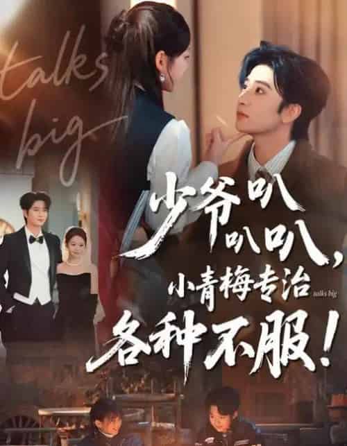 少爷叭叭叭，小青梅专治各种不服（100集全）侯朋岩＆雷馥缦-海之城短剧项目