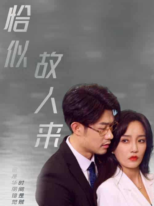 恰似故人来（79集全）郭美林子 - 海之城短剧