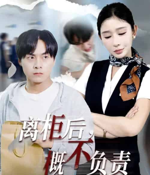 离柜后概不负责（30集）王妍 - 海之城短剧