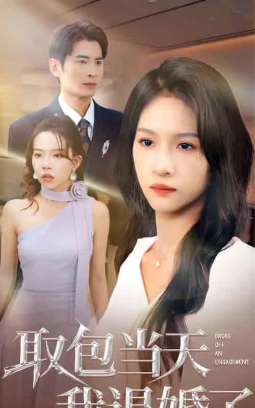 取包当天我退婚了（62集全）朱碧漪＆钰泽-海之城短剧项目