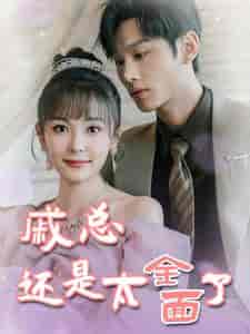 戚总还是太全面了＆戚总今天追到夫人了么（57集）杨桃 - 海之城短剧