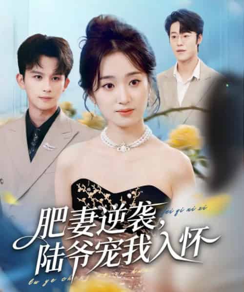 肥妻逆袭，陆爷宠我入怀（62集全）漆培鑫＆史小叶-海之城短剧项目