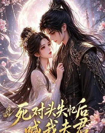 死对头失忆后喊我夫君（29集全）动漫-海之城短剧项目