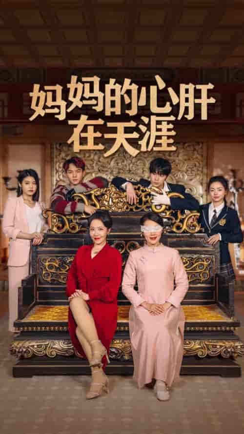 妈妈的心肝在天涯（妈妈的宝贝在天涯）（72集） - 海之城短剧