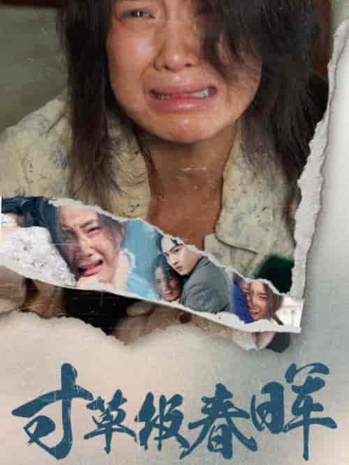 寸草报春晖（65集全） - 海之城短剧
