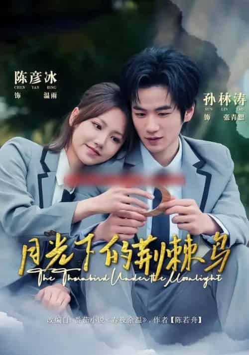 月光下的荆棘鸟（80集全）陈彦冰＆孙林涛-海之城短剧项目