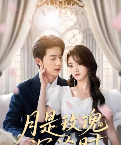 月是玫瑰沉沦时 月是玫瑰沉沦时