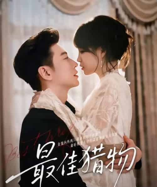 最佳猎物（80集全）于龙＆杨咩咩（情侣档）-海之城短剧项目