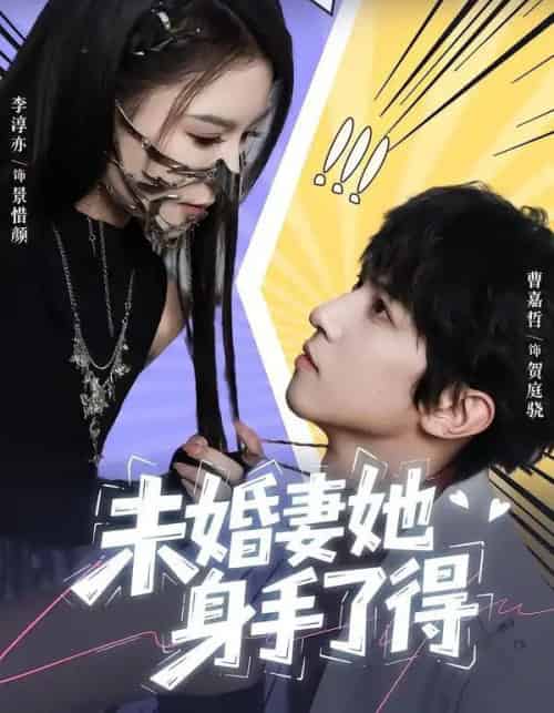 未婚妻她身手了得（50集全）李淳亦＆曹嘉哲-海之城短剧项目