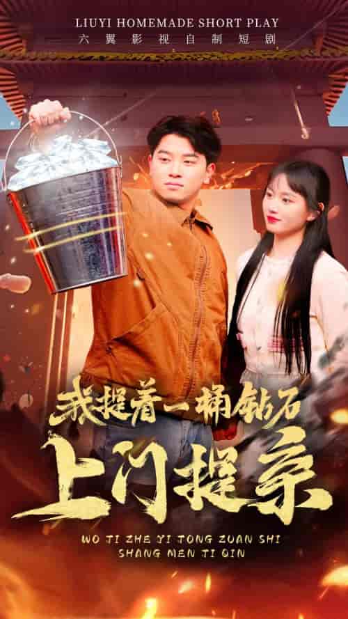 我提着一桶钻石上门提亲 我提着一桶钻石上门提亲