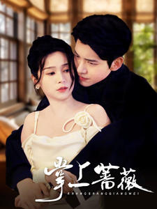 掌上蔷薇（46集全）冯思源＆严雯丽 - 海之城短剧