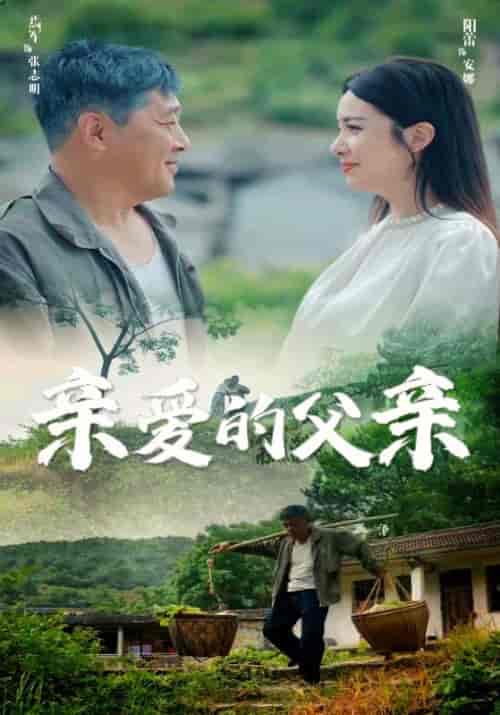 亲爱的父亲（71集）阳蕾 - 海之城短剧