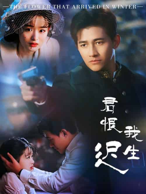 君恨我生迟＆司令府就是我的家（60集全）李子锋＆李紫一 - 海之城短剧