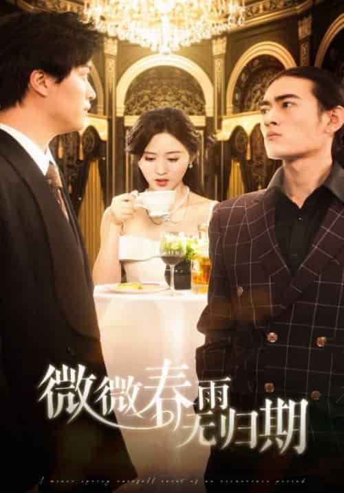 微微春雨无归期（65集全）栩晨昱＆书雪漫 - 海之城短剧