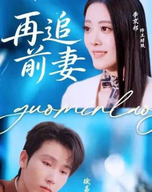 再追前妻（49集全）徐嘉良＆李京祈-海之城短剧项目