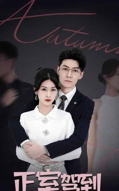 正室驾到（35集全）丁语乔＆陈泓龙-海之城短剧项目