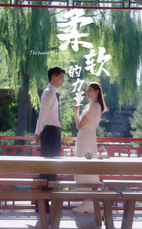 柔软的力量（80集全） - 海之城短剧