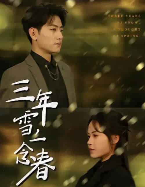 三年雪，一念春（70集全）王金宝＆林诺诺-海之城短剧项目
