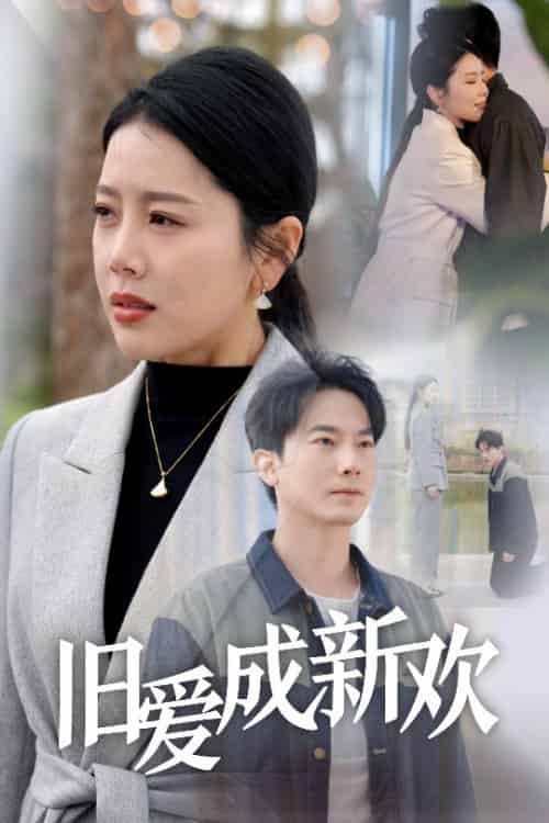 旧爱成新欢（30集全）丁海霞-海之城短剧项目