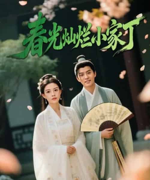 春光灿烂小家丁（102集全）赵雪＆陈云廷-海之城短剧项目