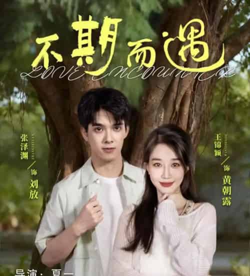 不期而遇（62集全）张泽渊＆王锦颖 - 海之城短剧