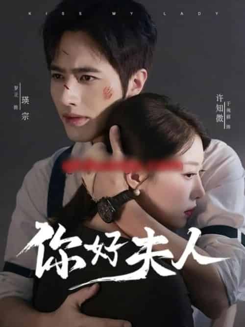 你好夫人（70集全）罗正＆于琬丽-海之城短剧项目