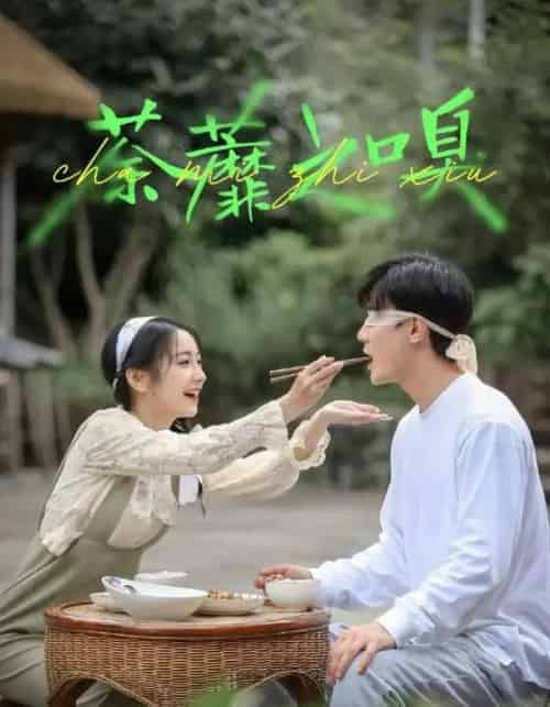 荼蘼之嗅（31集全）沈国洋＆耿池苏-海之城短剧项目