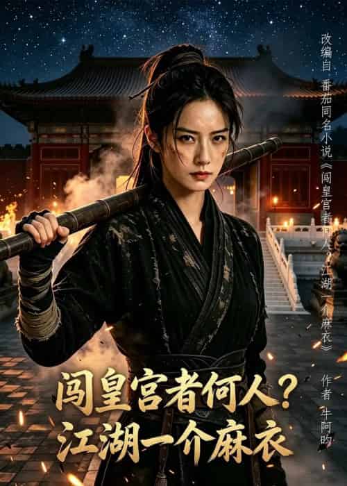闯皇宫者何人？江湖一介麻衣（50集全）AI-海之城短剧项目