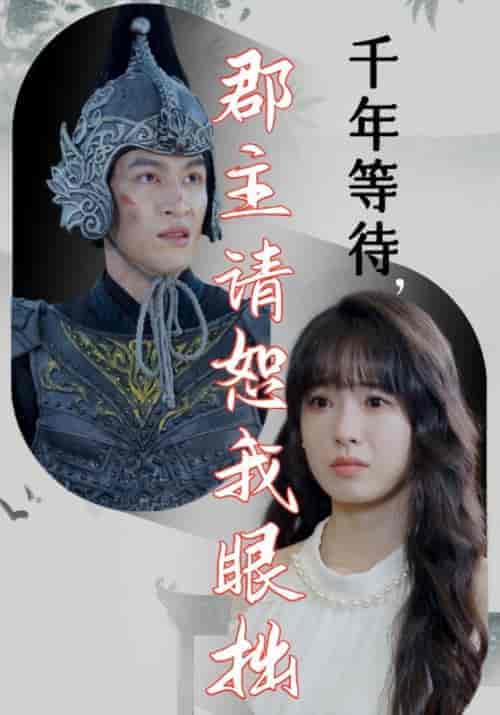 千年等待，郡主请恕我眼拙（50集全）项岩＆柳依依 - 海之城短剧
