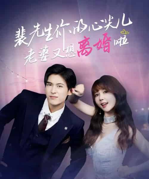 裴先生你的心尖儿老婆又想离婚啦＆裴先生的复婚攻略（80集全）龙琛＆鹿蓝予-海之城短剧项目