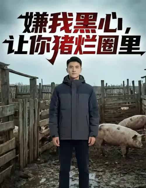 嫌我黑心，让你猪烂圈里（20集全）AI-海之城短剧项目