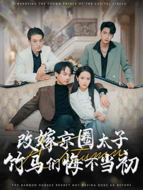 改嫁京圈太子竹马们悔不当初（30集全）黄子淇＆王蔼玲 - 海之城短剧