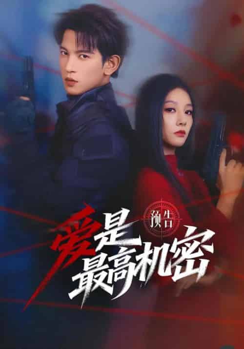 爱是最高机密（24集全）王嘉懋＆朱丽岚-海之城短剧项目