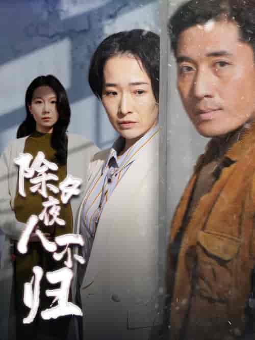 除夕夜人不归（47集全）-海之城短剧项目