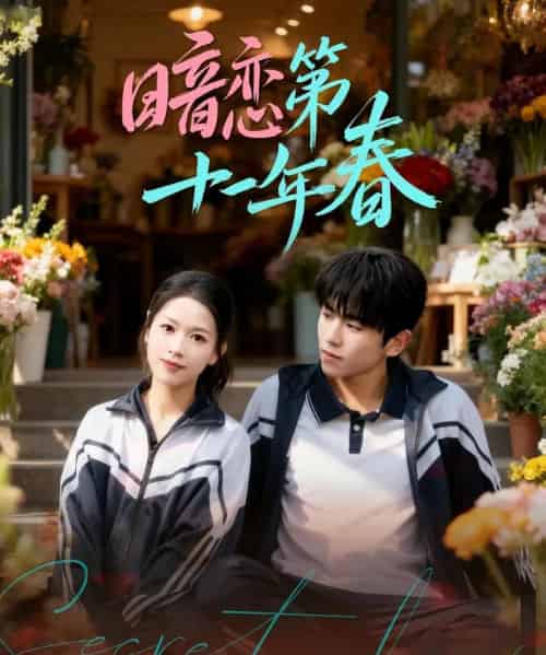 暗恋第十一年春（60集全）曹竣柯＆宾淑贤-海之城短剧项目