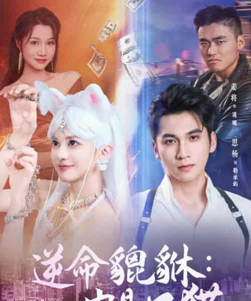 逆命貔貅它是只猫（35集）姜将-海之城短剧项目