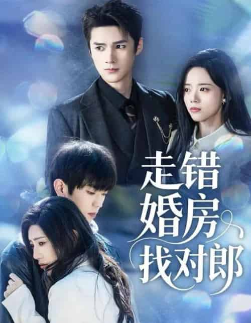 走错婚房找对郎（50集全）刘辰锐＆刘艺然-海之城短剧项目