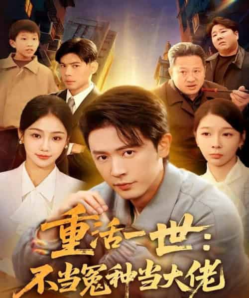重活一世：不当怨种当大佬（80集全）王昭＆尹喜善-海之城短剧项目