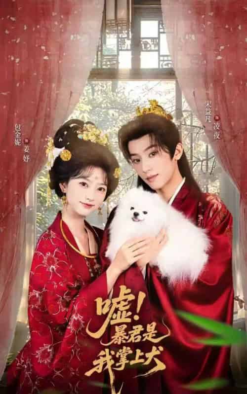 嘘暴君是我掌上犬＆废妃逆袭陛下借宠识真心（40集全）包金妮＆宋益凡 - 海之城短剧