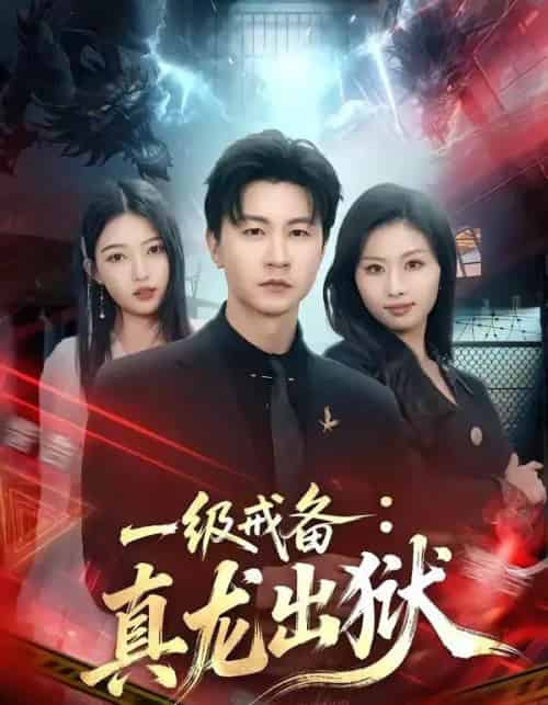 一级戒备：真龙出狱（73集全）王鹏＆千文-海之城短剧项目