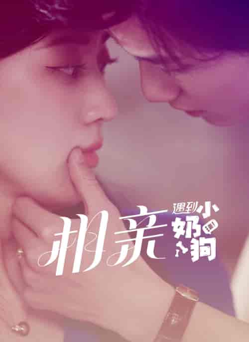 相亲遇到小奶狗（80集） - 海之城短剧