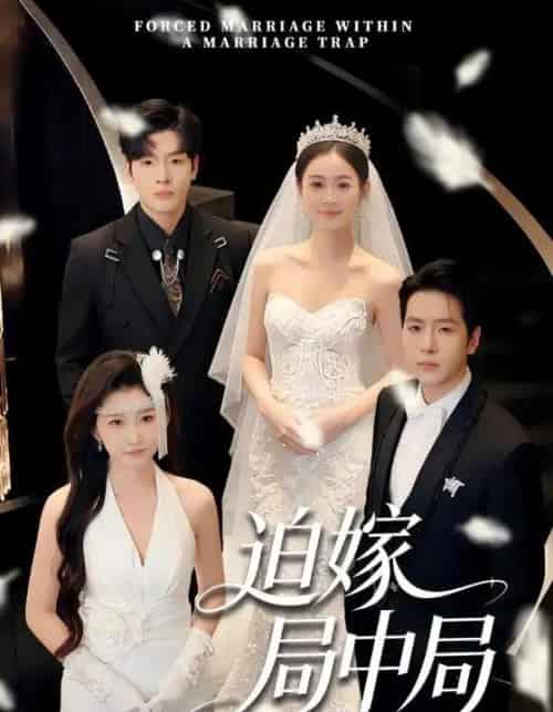 迫嫁局中局（70集全）刘云禹＆王雅妮-海之城短剧项目