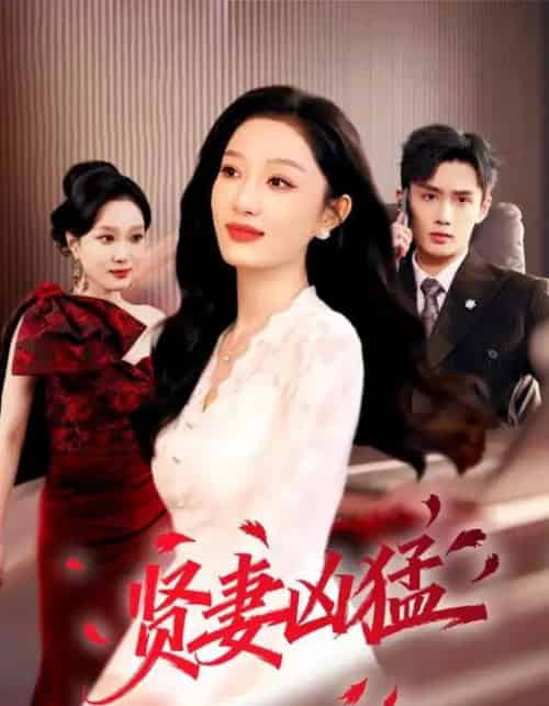 贤妻凶猛（60集全）孙子航＆韩惟-海之城短剧项目